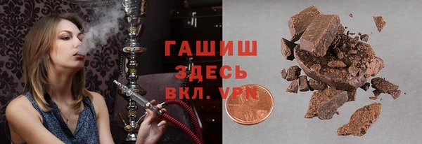 индика Осинники