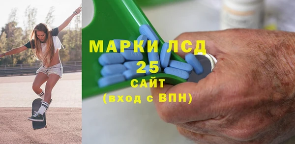 индика Осинники