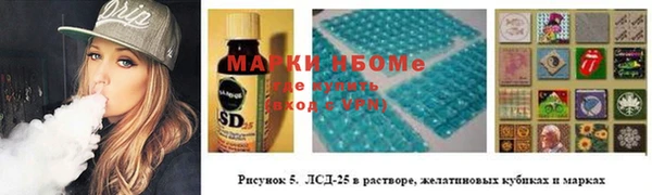индика Осинники