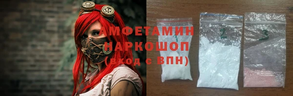 индика Осинники