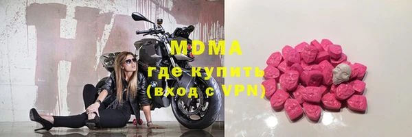 индика Осинники