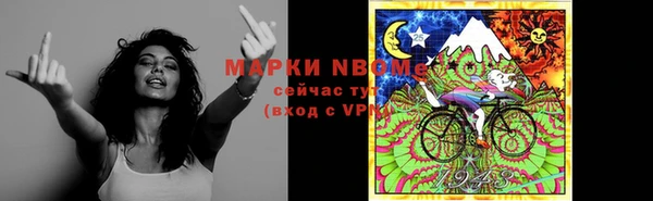 индика Осинники