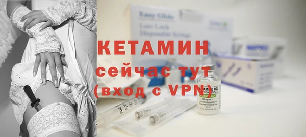 индика Осинники