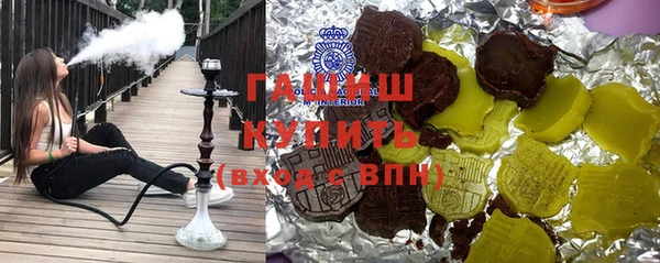 индика Осинники