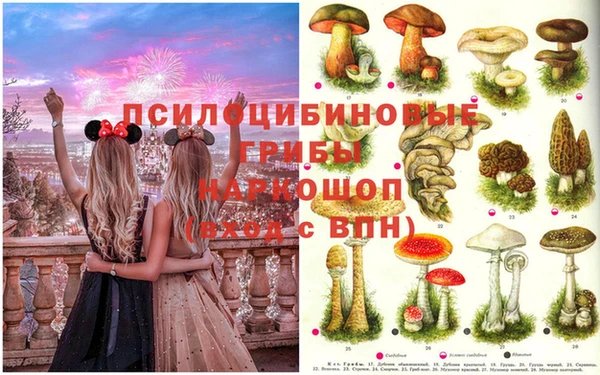 индика Осинники