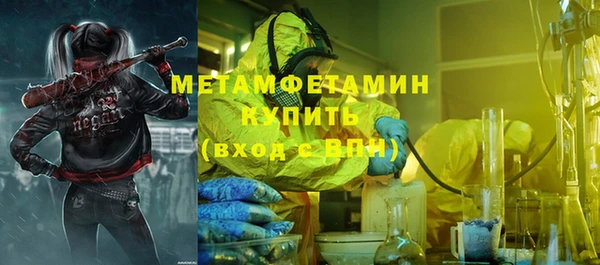 индика Осинники