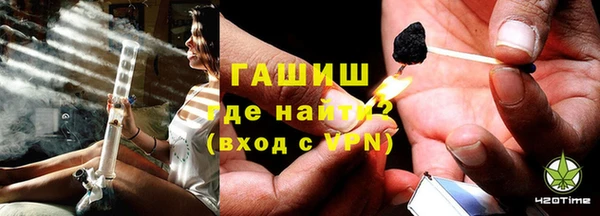 индика Осинники