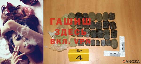 индика Осинники