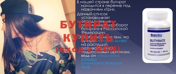 индика Осинники