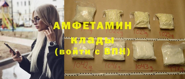 индика Осинники