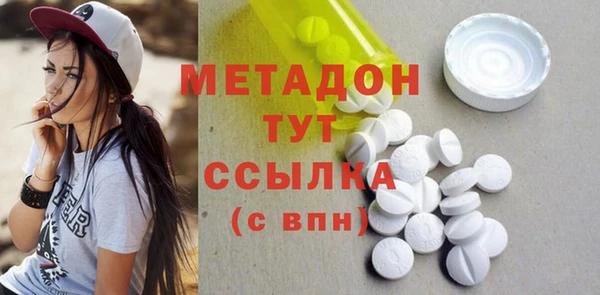 индика Осинники
